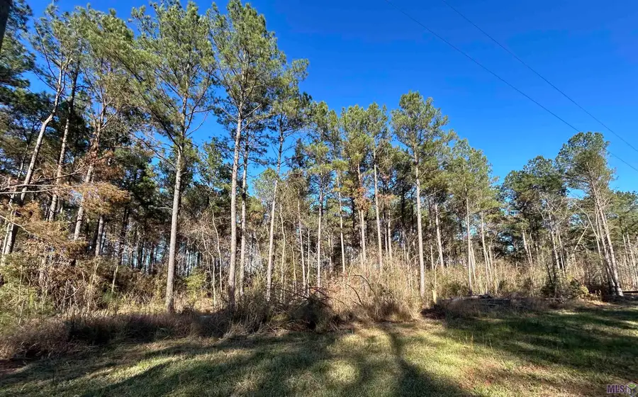 Lot 15 Butterbean Ridge, Livingston, LA 70754 - #2