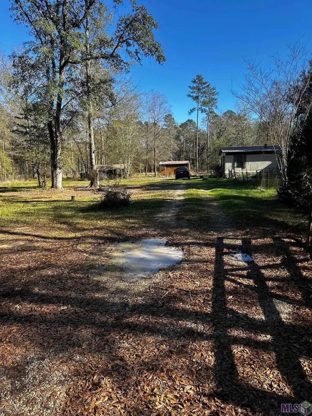 25066 Lobell Road, Livingston, LA 70754 - #1