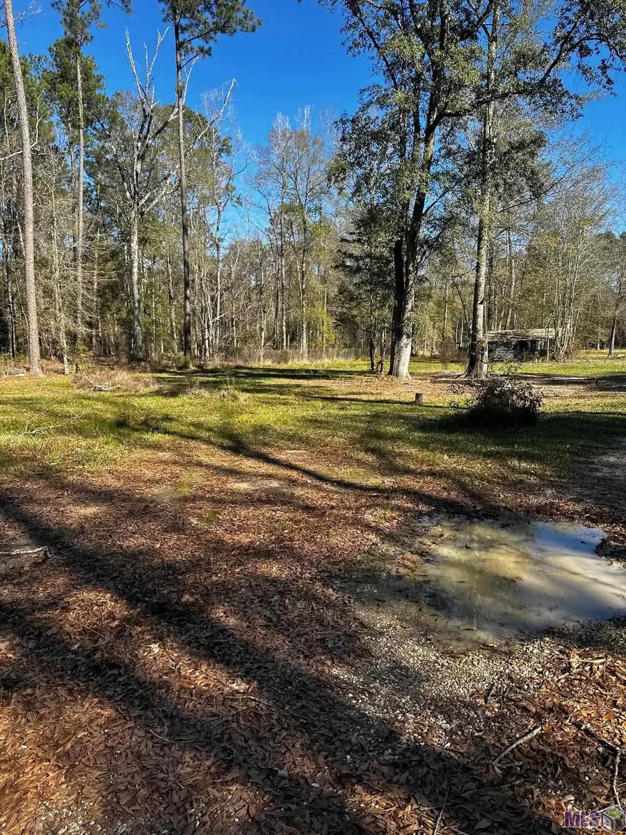 25066 Lobell Road, Livingston, LA 70754 - #2