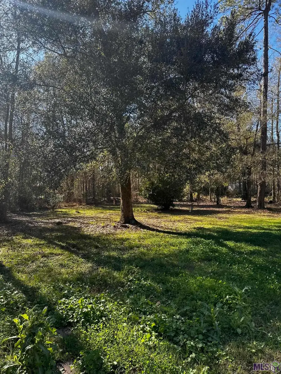 25066 Lobell Road, Livingston, LA 70754 - #3