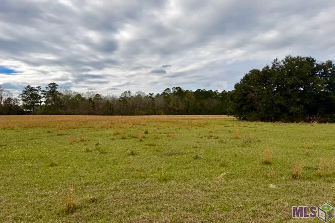 06 Old Hwy 51, Amite, LA 70422 - #1