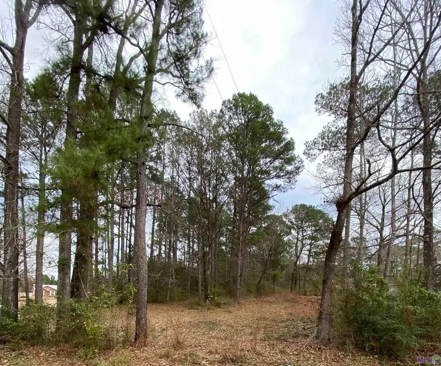 TBD La Hwy 1043, Greensburg, LA 70441 - #2