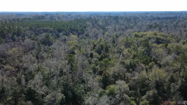 0000 Mcgehee Rd, Bogalusa, LA 70427