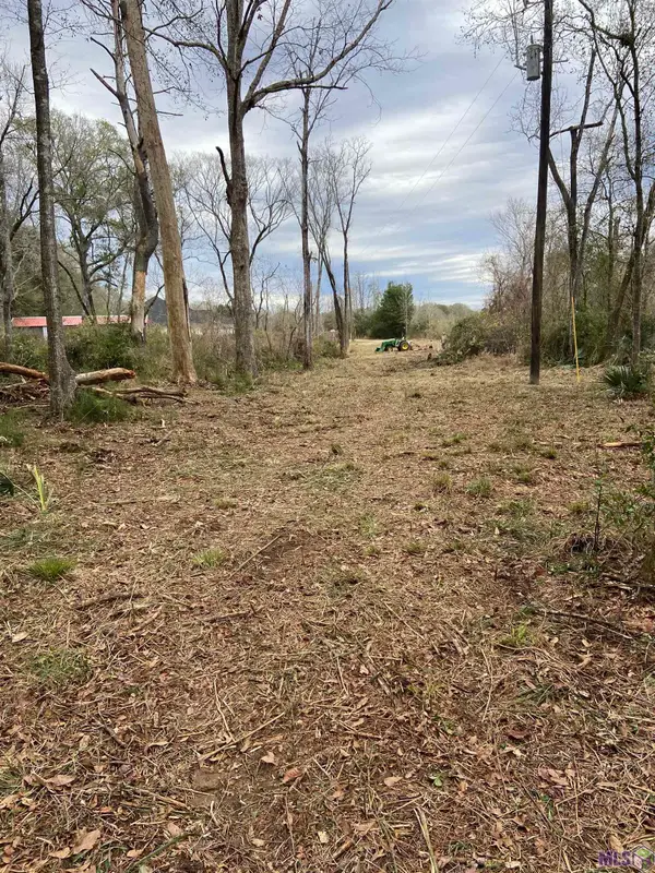 11123 Comeaux Ln, Denham Springs, LA 70726