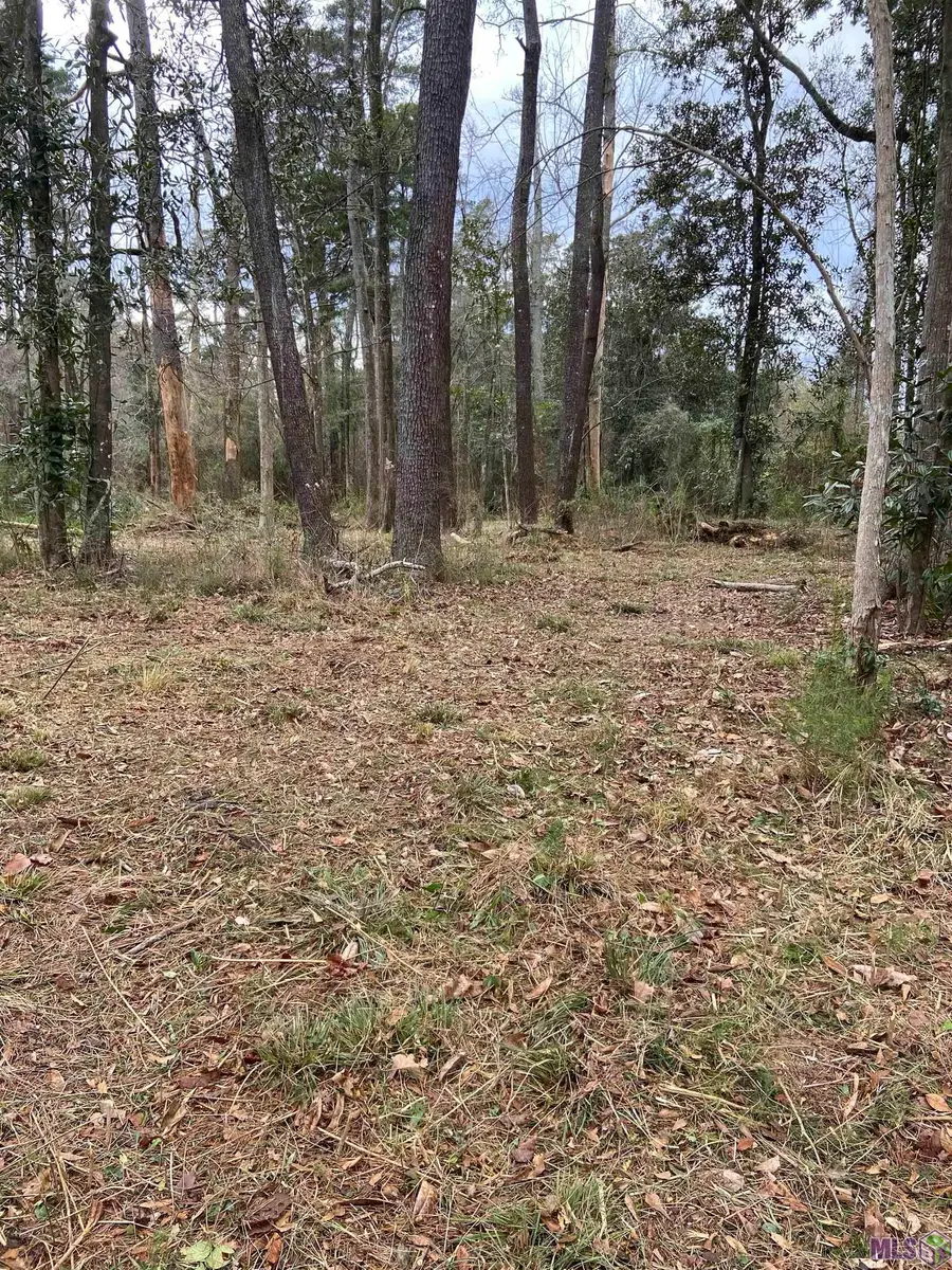 11123 Comeaux Ln, Denham Springs, LA 70726 - #2