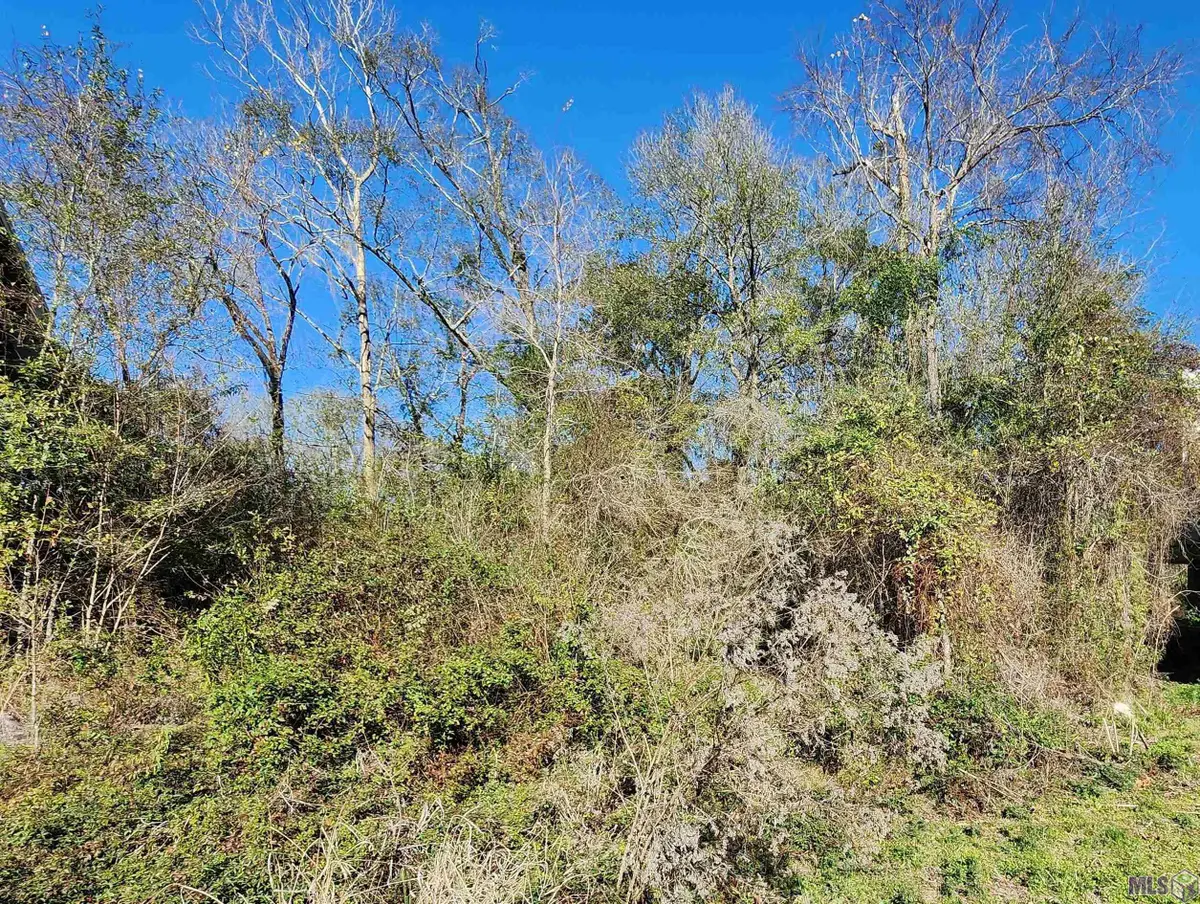 10331 Amite River Rd, Baton Rouge, LA 70817 - #1