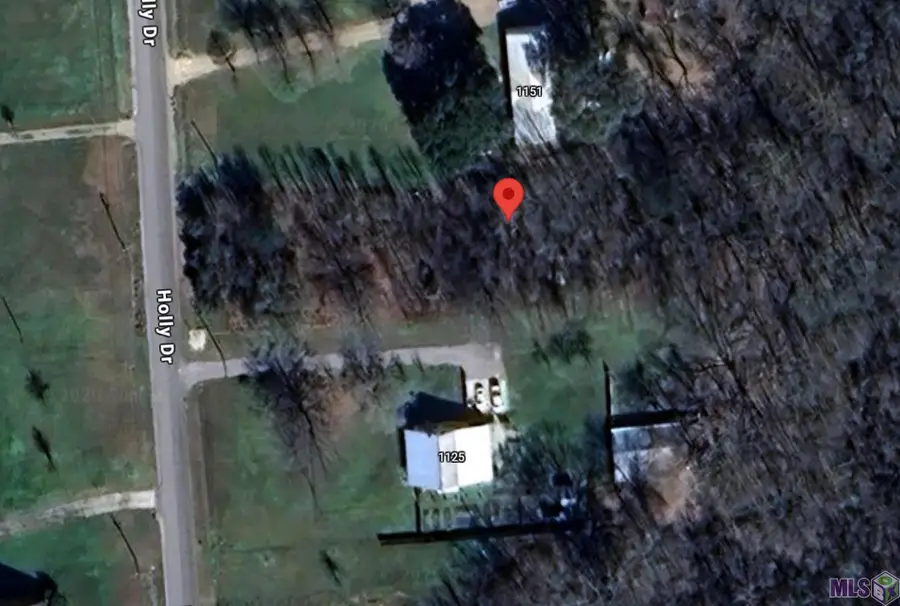 1139 Holly Dr, Slaughter, LA 70777 - #2
