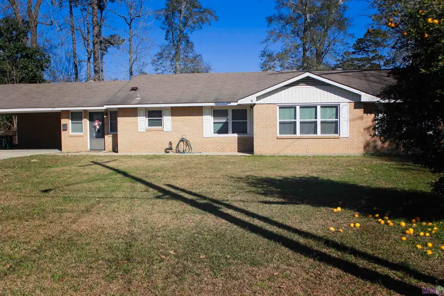317 Oak St, Denham Springs, LA 70726 - #3