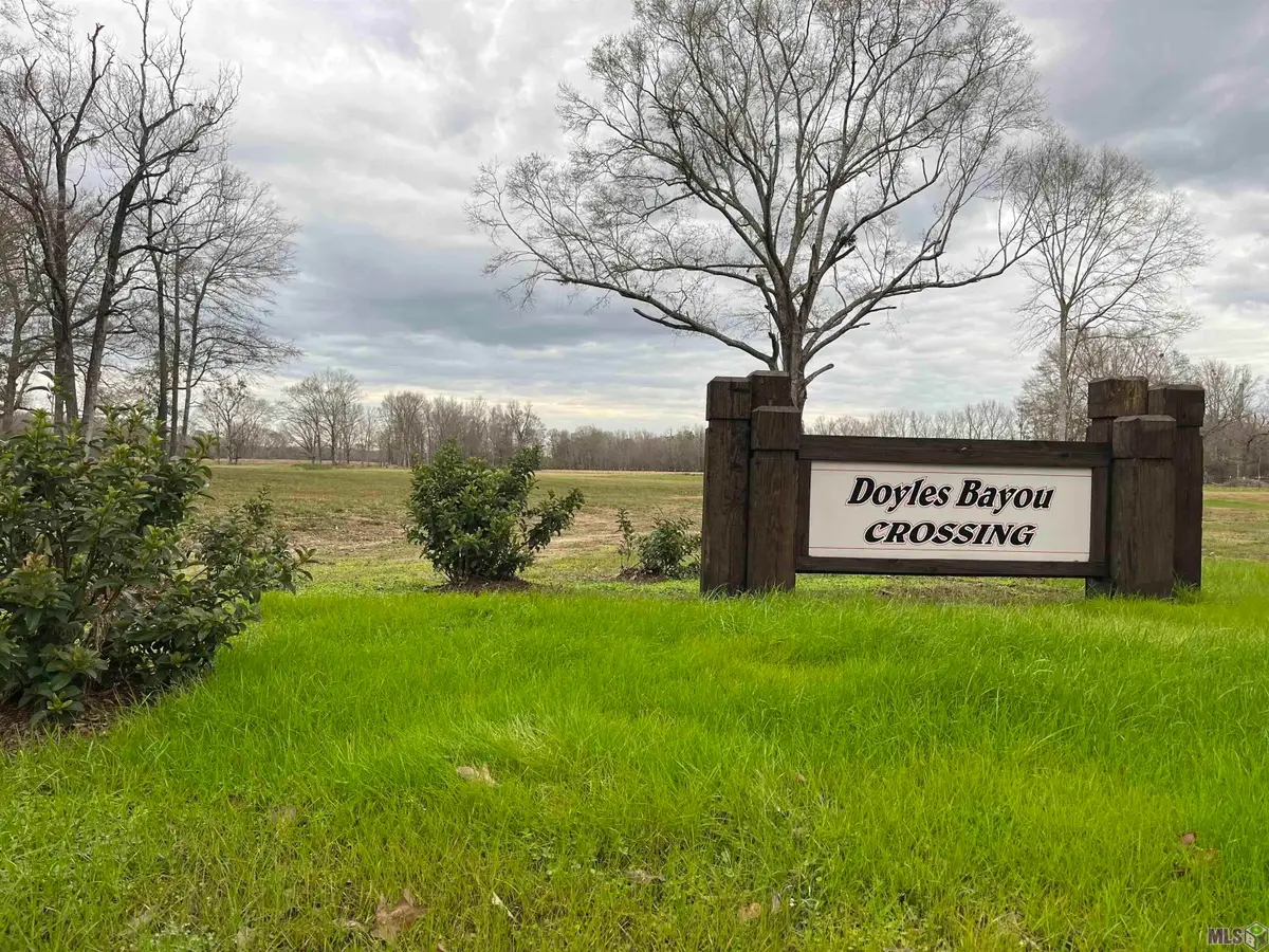 Lemon Rd, Slaughter, LA 70777 - #1