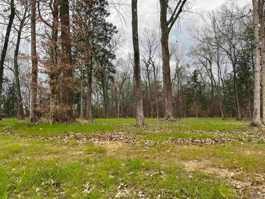 Lemon Rd, Slaughter, LA 70777 - #3