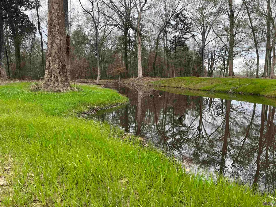 A-1-C Lemon Rd, Slaughter, LA 70777 - #2