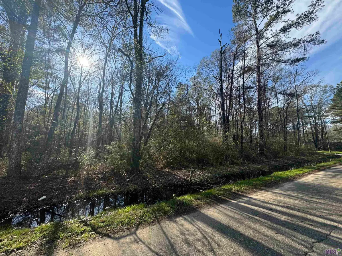 Lot 5-A Joe Lee Rd, Walker, LA 70785 - #1