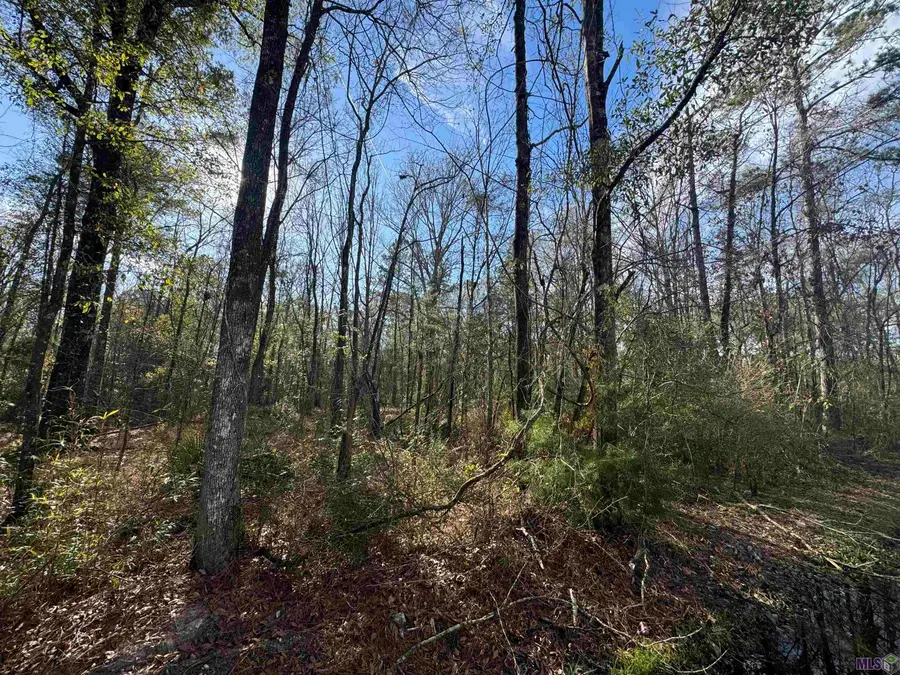 Lot 5-A Joe Lee Rd, Walker, LA 70785 - #3