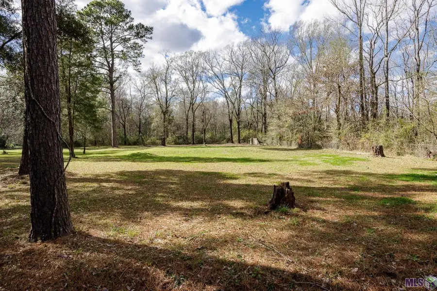 11395 Granberry Dr, Baton Rouge, LA 70811 - #2