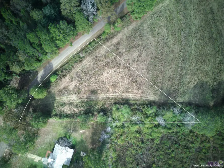 Tract 9 R F Ball Road, Franklinton, LA 70438 - #3