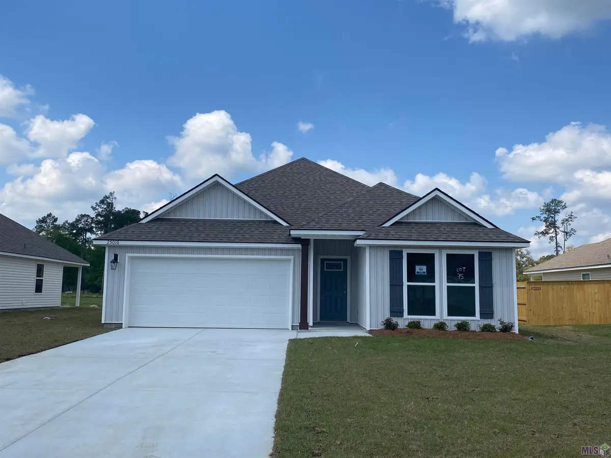 25016 Berry Ridge Lane, Springfield, LA 70462 - #1
