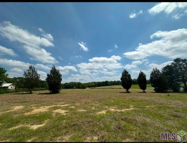 9674 La Hwy 955, Ethel, LA 70730