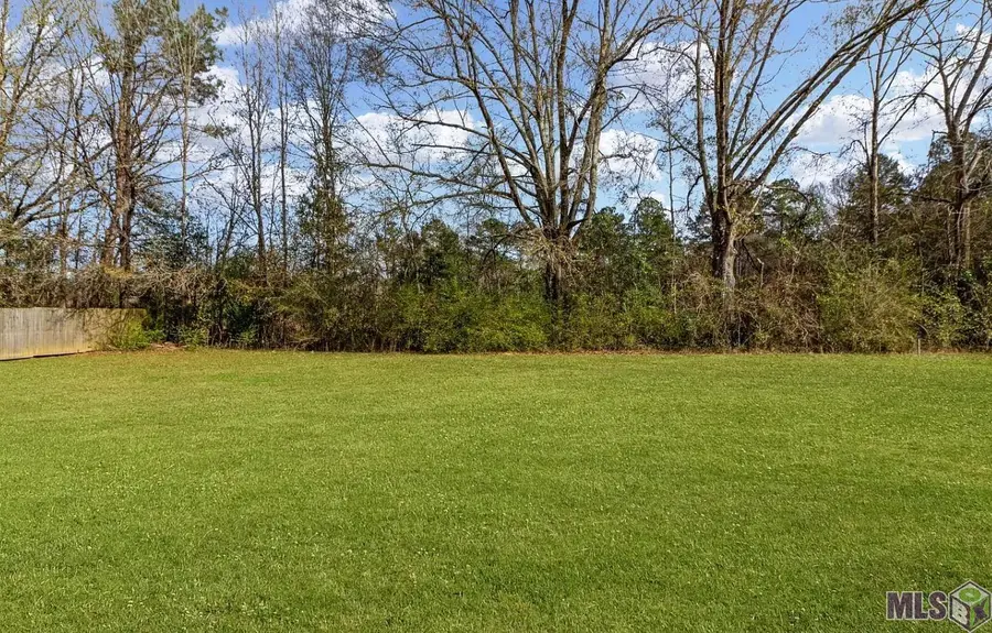 35680 Bonnebell Dr, Denham Springs, LA 70706 - #2