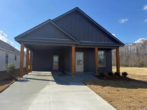 12864 St Lucia Dr, Maurepas, LA 70449