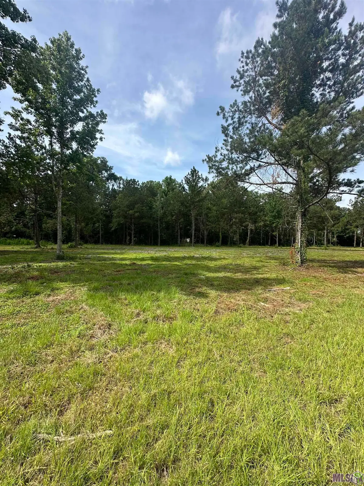 Tract B La Hwy 16, Denham Springs, LA 70706 - #1