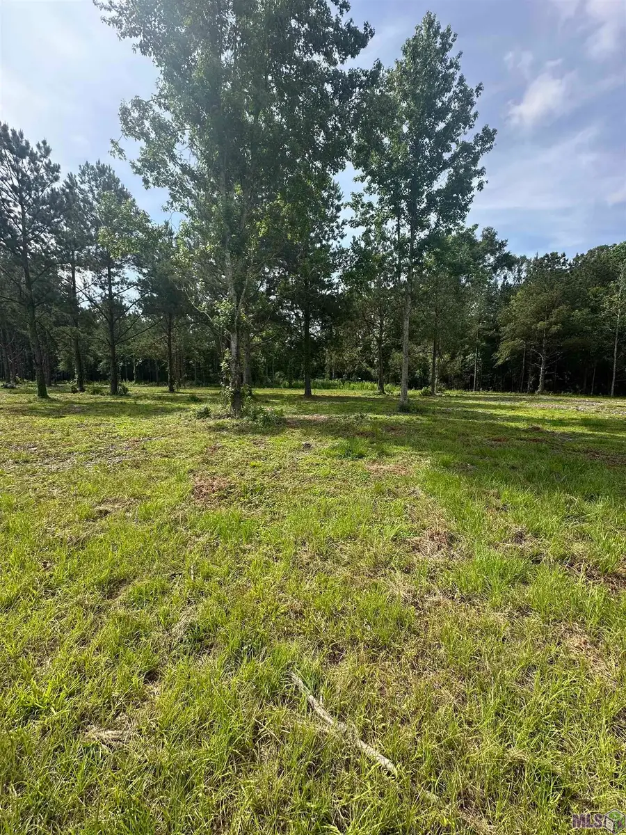 Tract B La Hwy 16, Denham Springs, LA 70706 - #2