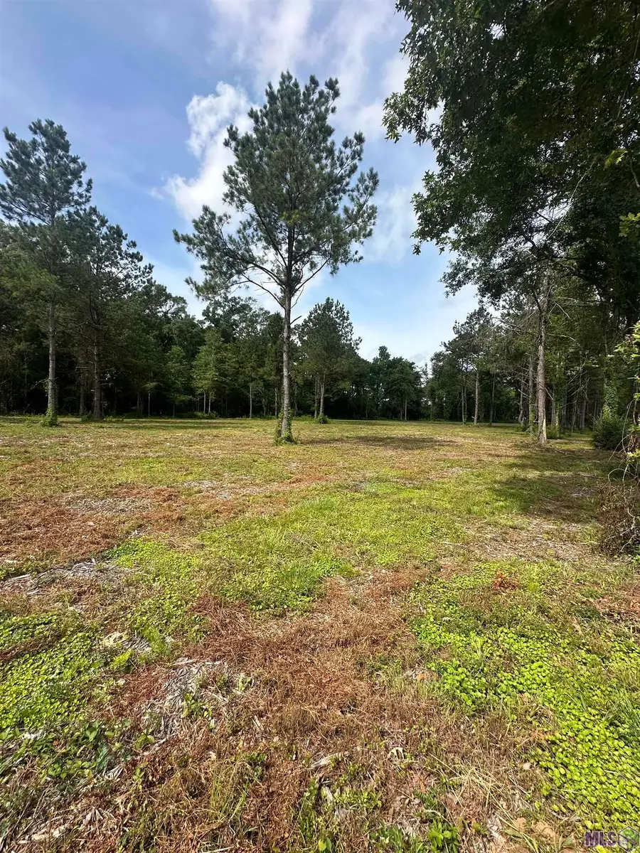 Tract B La Hwy 16, Denham Springs, LA 70706 - #3