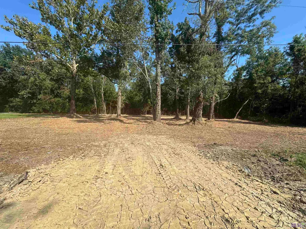 9528 Split Log Rd, Saint Amant, LA 70774 - #1