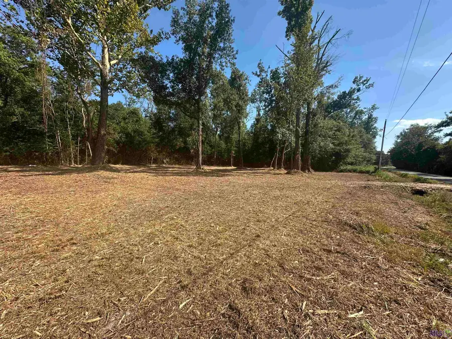 9528 Split Log Rd, Saint Amant, LA 70774 - #2