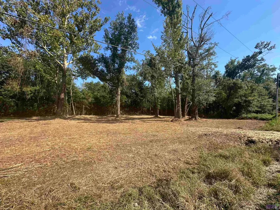 9528 Split Log Rd, Saint Amant, LA 70774 - #3