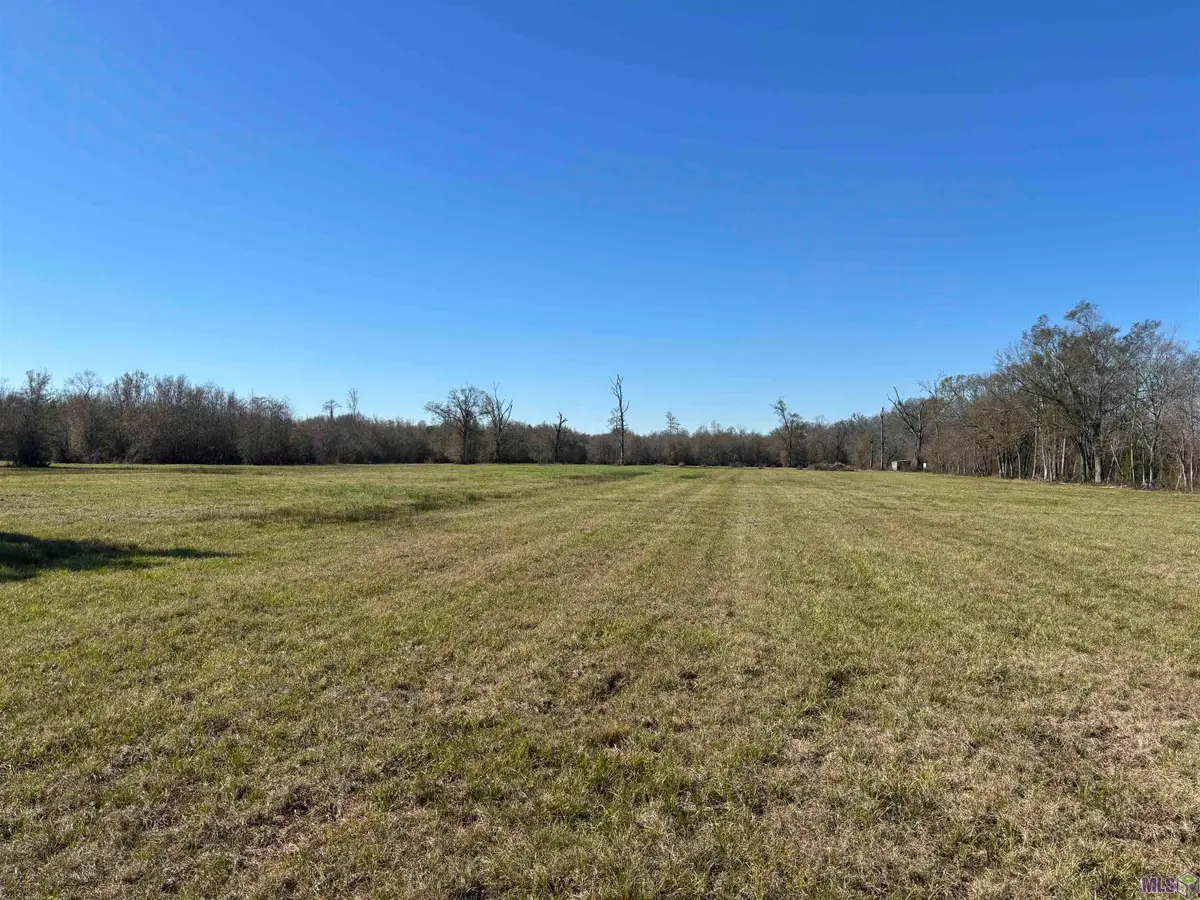 12176 La Hwy 431 Highway, Saint Amant, LA 70774 - #1
