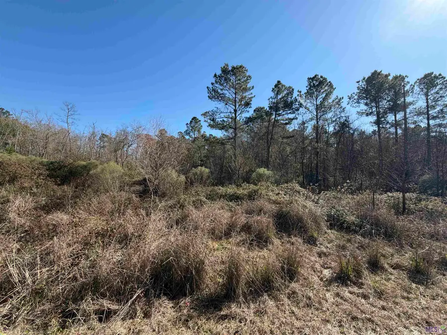 Lot 5-D Texas St, Livingston, LA 70754 - #2