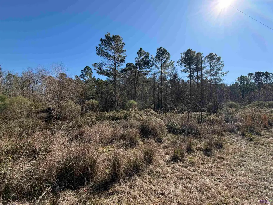 Lot 5-D Texas St, Livingston, LA 70754 - #3