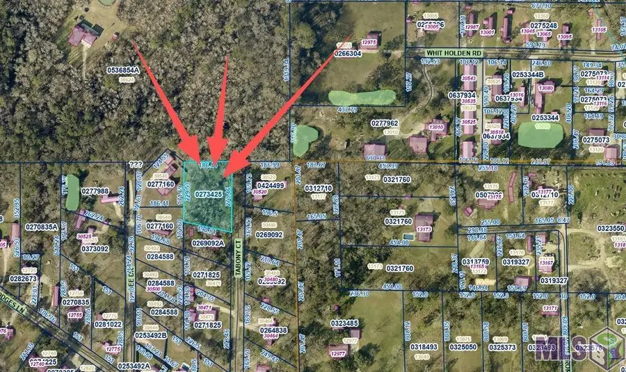 8 Tabony Ct, Walker, LA 70785 - #3