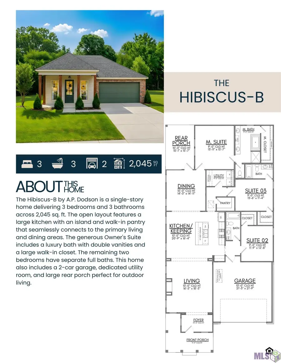 7228 Rue Lierre, Zachary, LA 70791 - #2