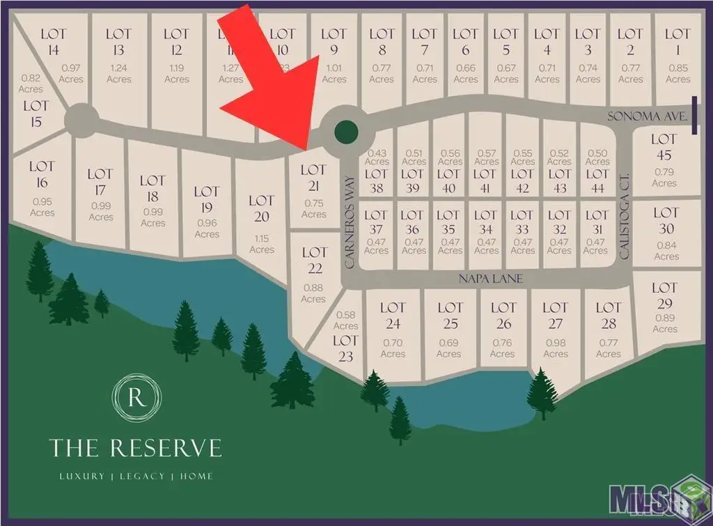 12856 Sonoma Ave, Zachary, LA 70791 - #1