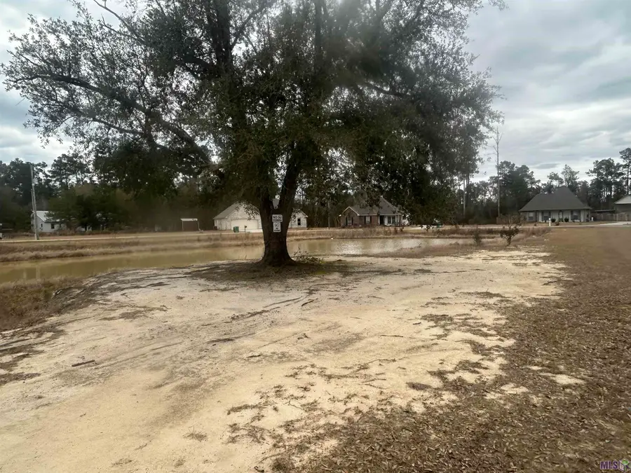 31618 Ferina Ln, Albany, LA 70711 - #3