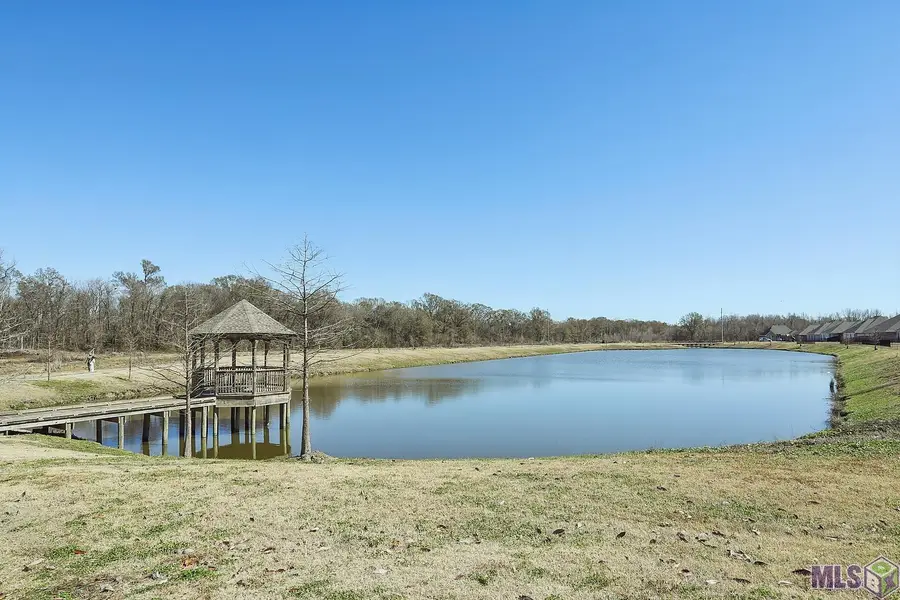 41177 Coastline Ave, Gonzales, LA 70737 - #3