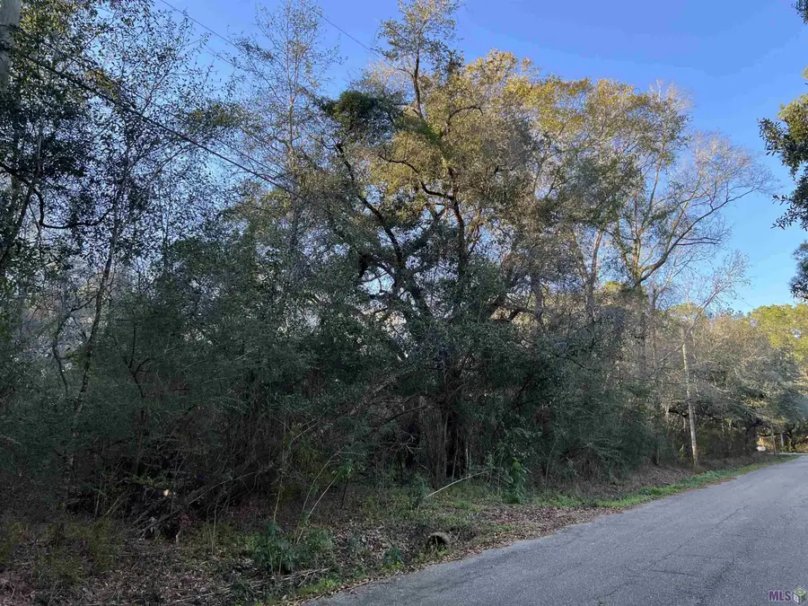 TBA Warrior Dr, Lacombe, LA 70445 - #3