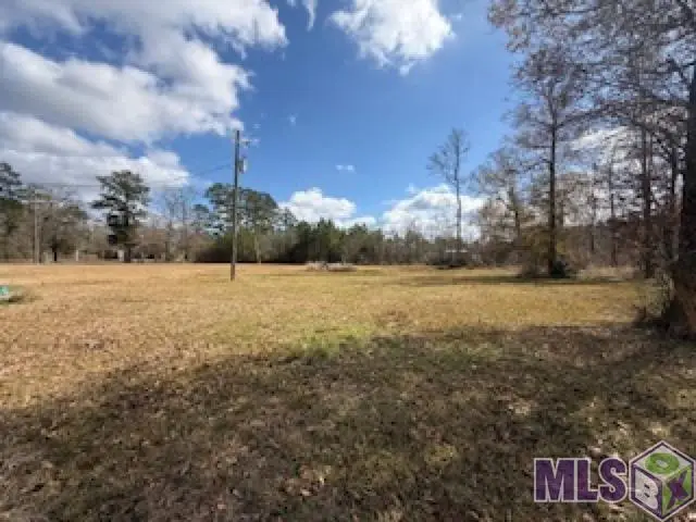 26307 Oliver Wheat Rd, Livingston, LA 70754 - #1