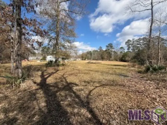 26307 Oliver Wheat Rd, Livingston, LA 70754 - #3