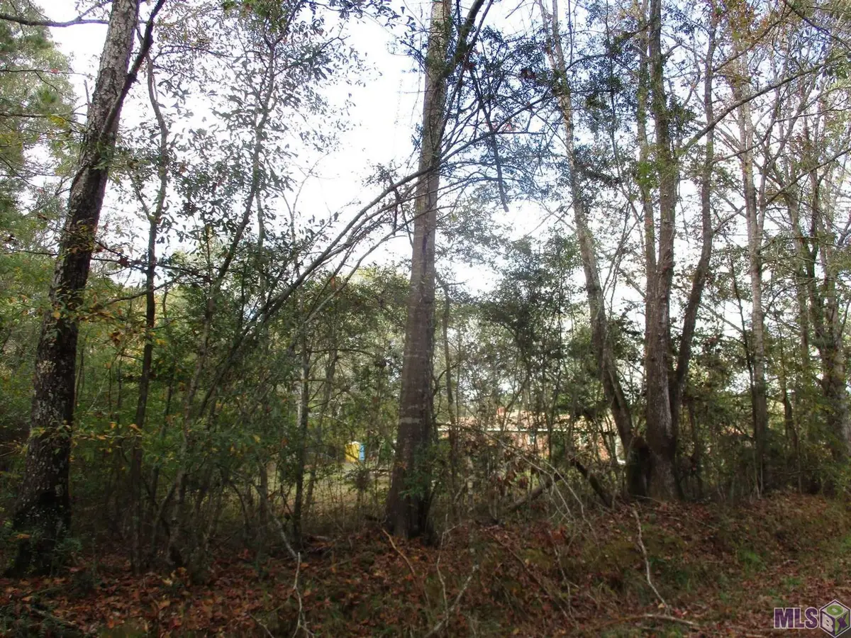 LOT B Perkins Rd, Norwood, LA 70761 - #1