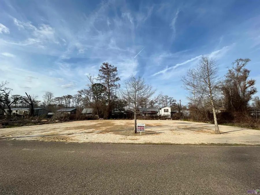 22239 Chinquapin Ave, Maurepas, LA 70449 - #2