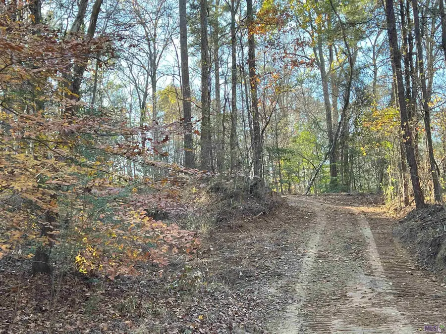TBD (426 Ac.) Tunica Trace, Saint Francisville, LA 70775 - #2