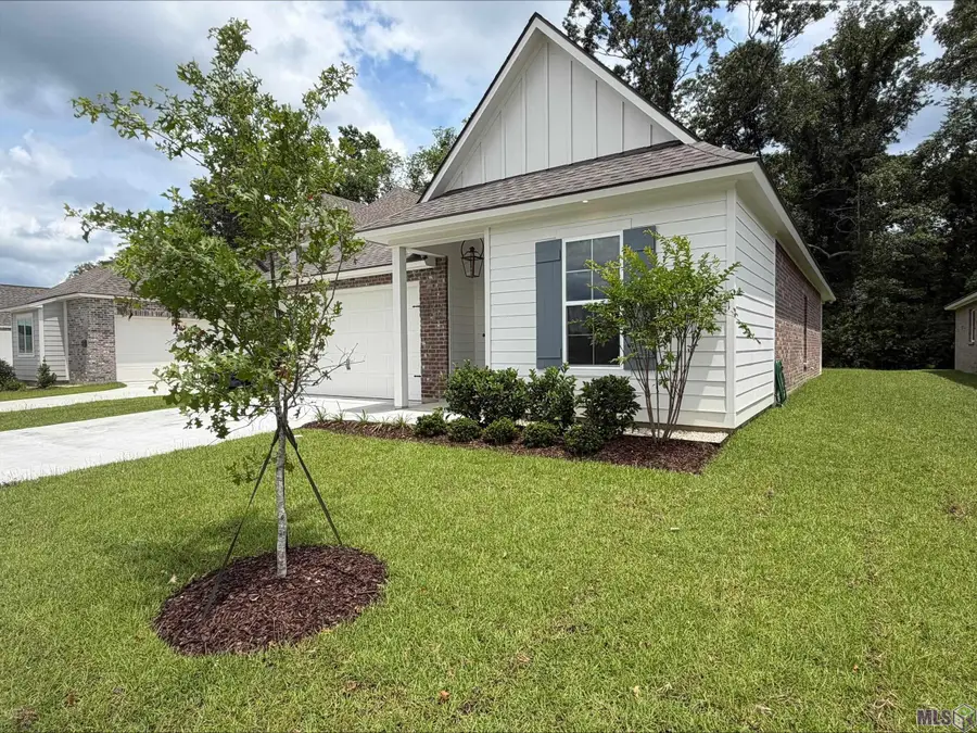 36240 Belle Parc Ave, Geismar, LA 70734 - #2