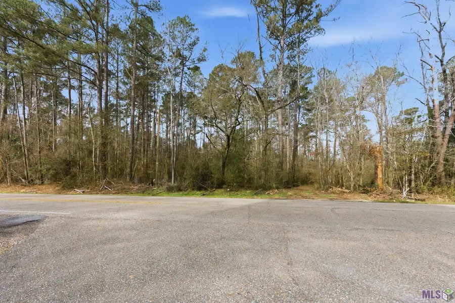 TBD Hwy 449 Highway, Pine Grove, LA 70453 - #2