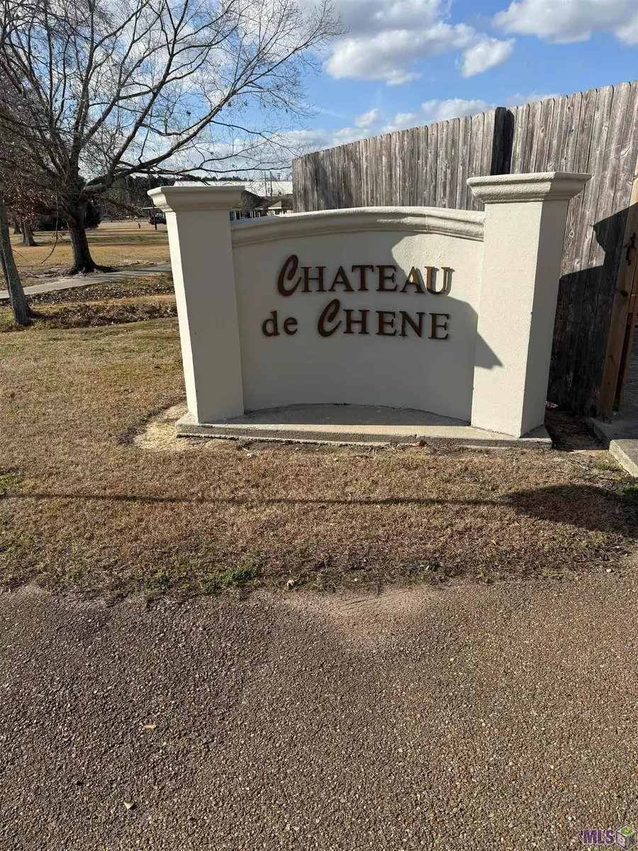 20334 De Chene Dr, Walker, LA 70785 - #2