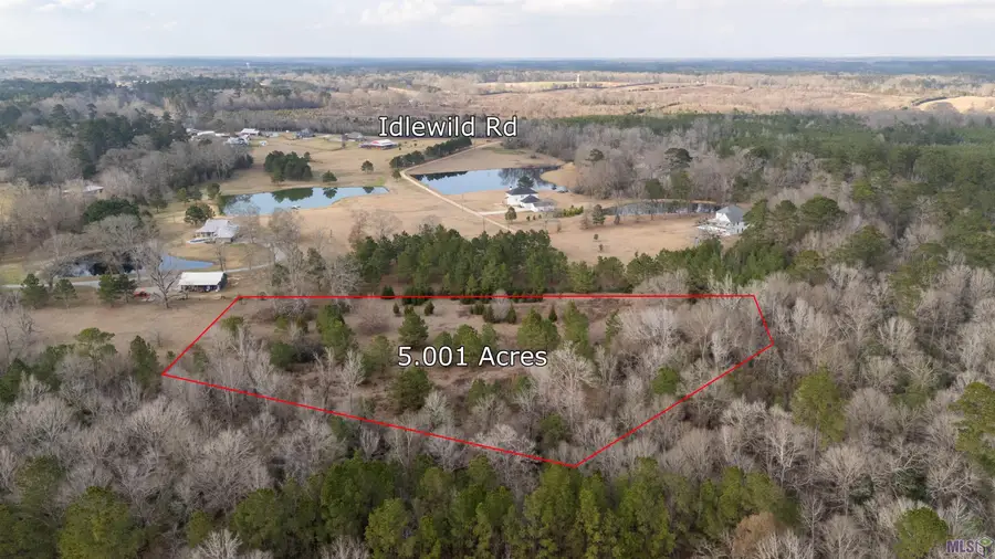 Tract G-2-A Idlewild Rd, Clinton, LA 70722 - #2