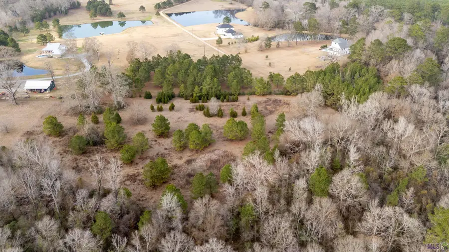 Tract G-2-A Idlewild Rd, Clinton, LA 70722 - #3