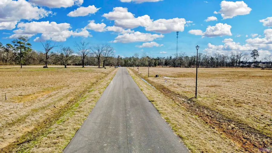Lot 12 Grandview Drive, Denham Springs, LA 70726 - #3