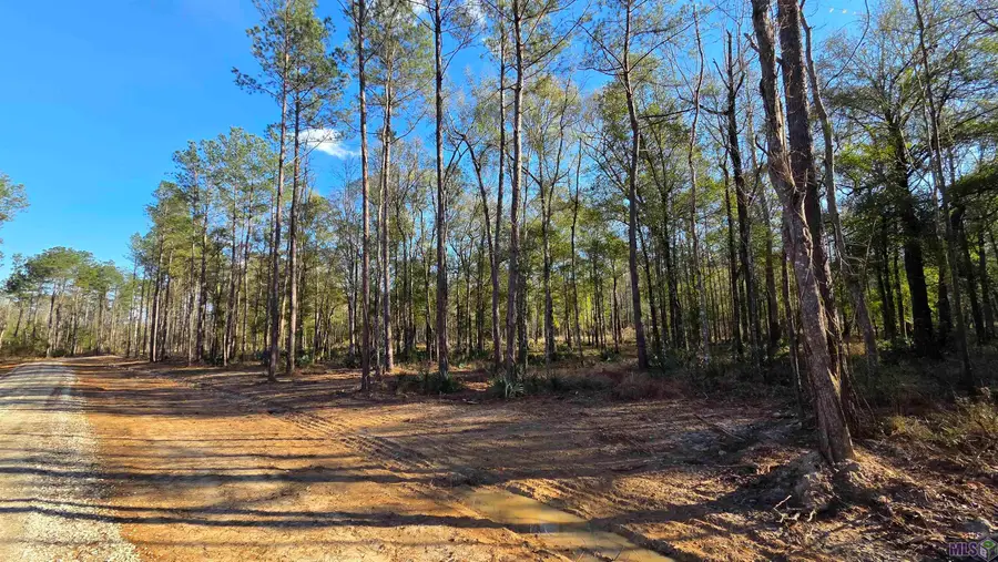 Lot 1 Livingston Farms Lane, Livingston, LA 70754 - #3